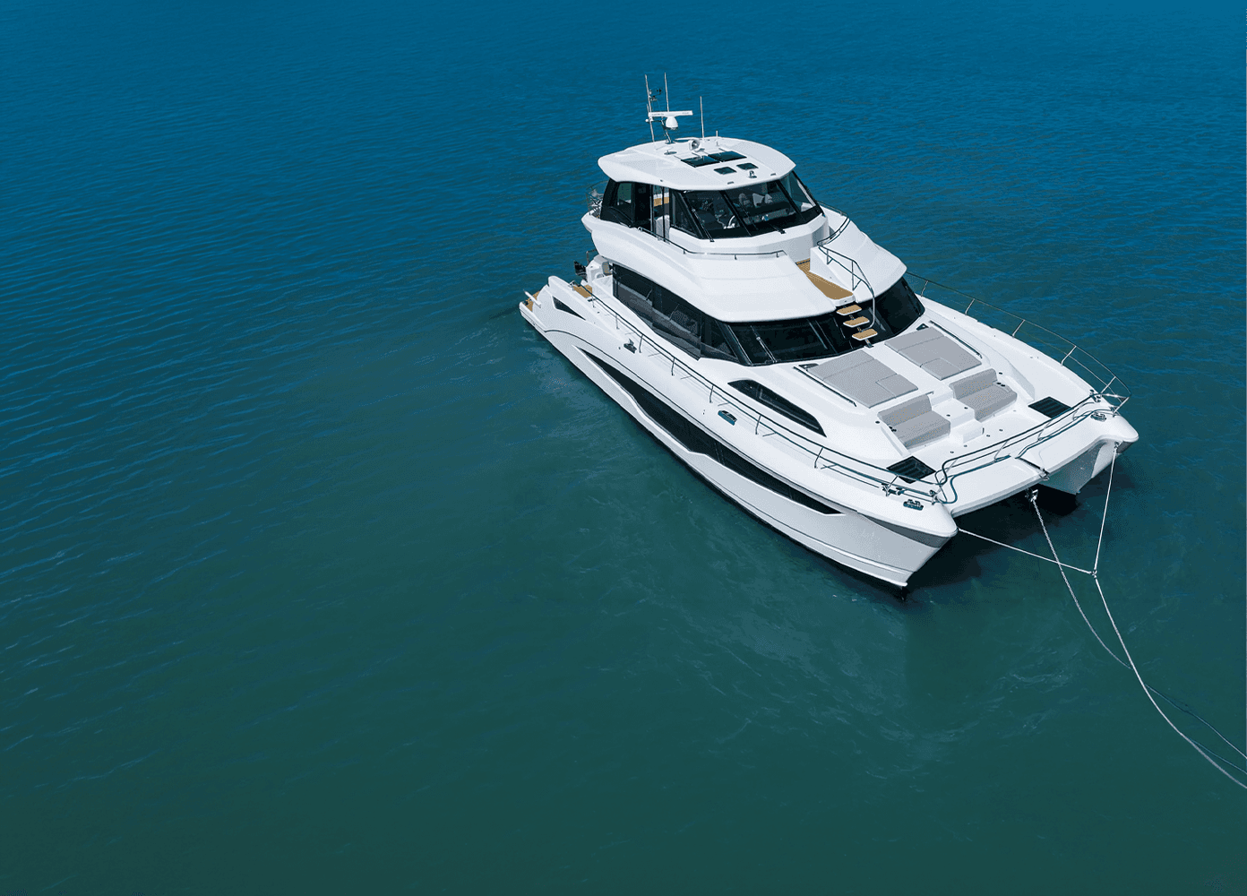 Aquila flotta