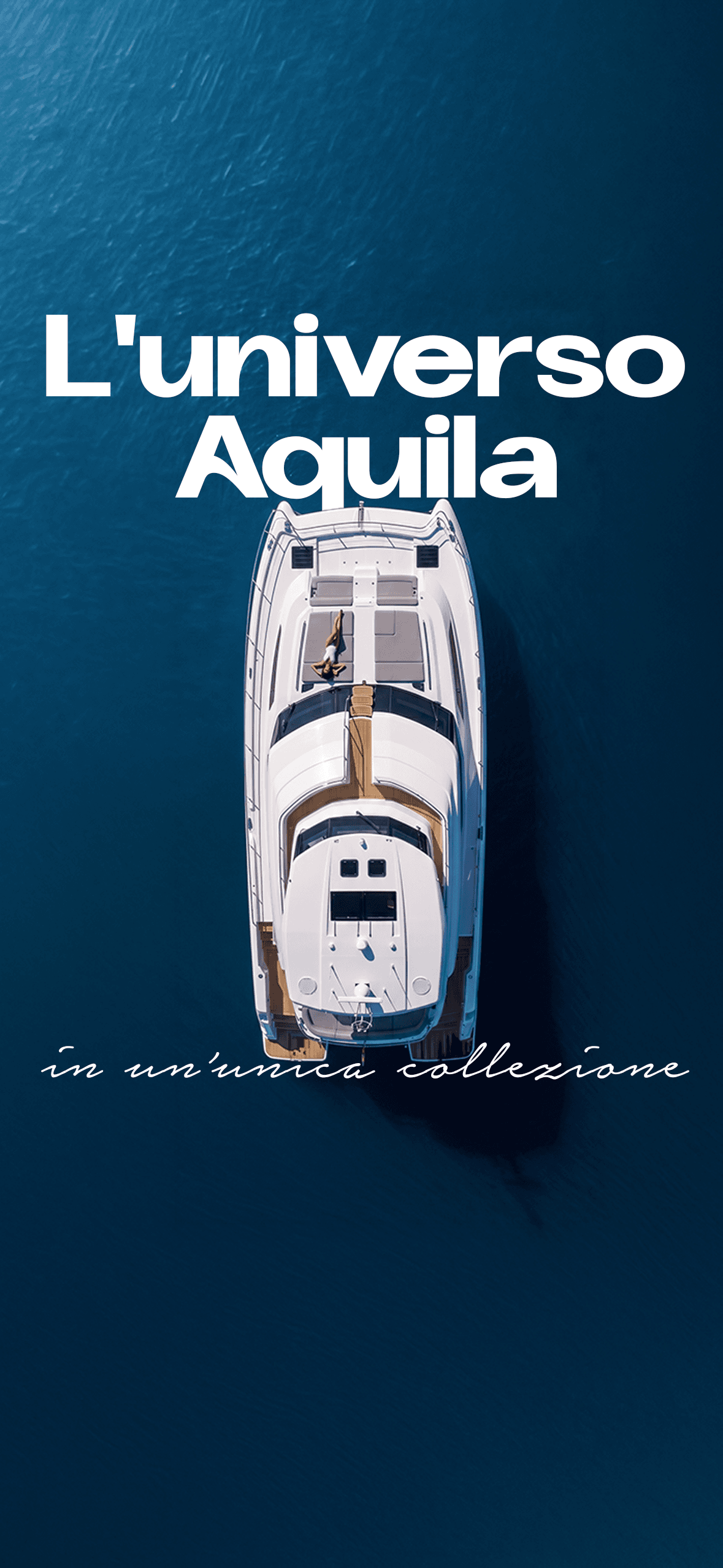 Aquila fleet